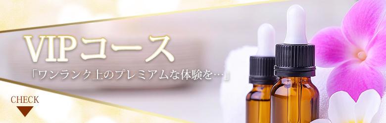 VIPコース
